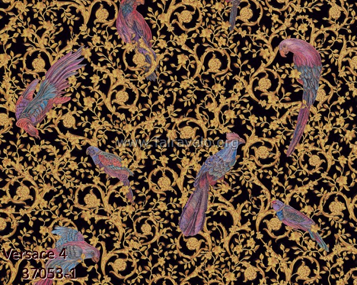 Versace 4